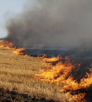 Вперше в Україні мешканець Львівщини заплатить 130 тисяч грн штрафу за паління трави