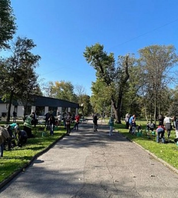 У Кривому Розі в парку Мершавцева висадили туї