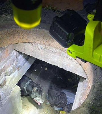 У Дніпрі врятували домашнього собаку, який на прогулянці портапив у пастку