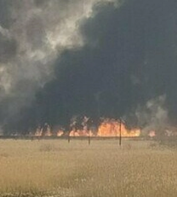 На Одещині горіло кукурудзяне поле