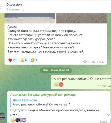 В Арцизі шукають рятівника для лелеки