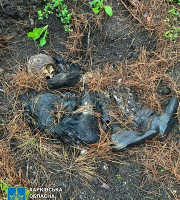 Замучили до смерти: на Харьковщине нашли еще одну жертву оккупантов