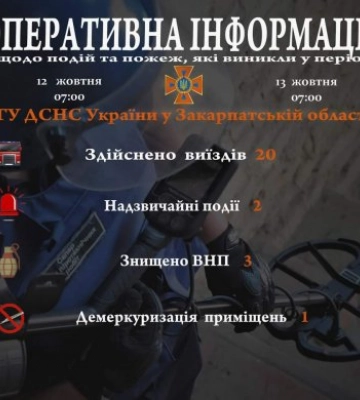 На Закарпатті у лісі майже щодня  зникають люди