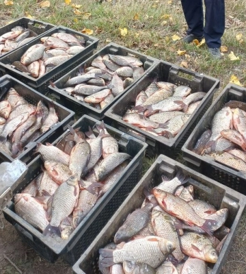 На Одещині чоловік переробив пневматичну гвинтівку на вогнепальну зброю, - ФОТО