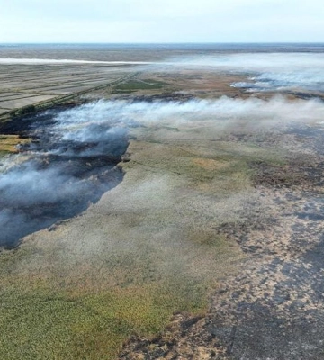 В районній військовій адміністрації пояснили, звідки взявся дим над Ізмаїлом