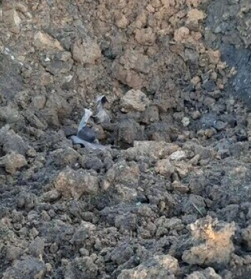 На Рівненщині сили ППО знищили повітряну ворожу ціль, - ОВА