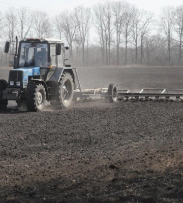 На Київщині запланували посіяти понад 130 тисяч гектарів озимих зернових