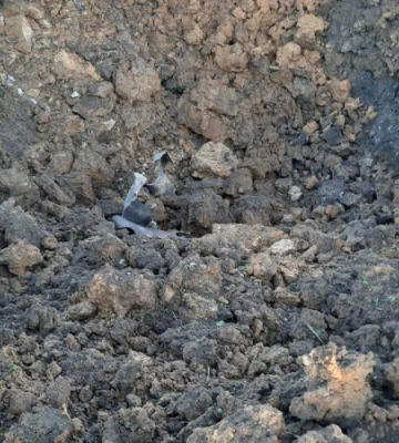 На Рівненщині сили ППО знищили повітряну ворожу ціль, - ОВА