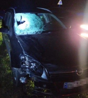 Двоє пішоходів загинули у ДТП за добу на Львівщині