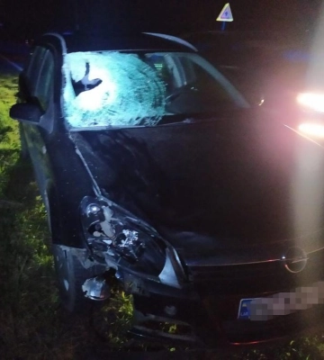 На Львівщині в ДТП загинули два пішоходи