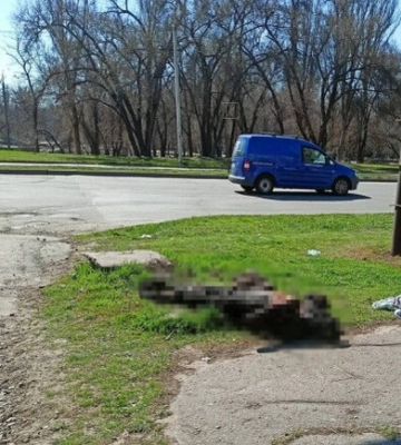 У Запоріжжі поліцейські розкрили вбивство чоловіка