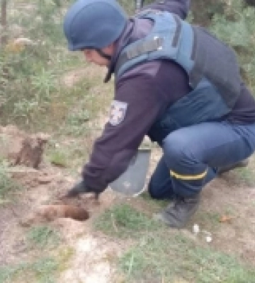 Біля села у Володимирському районі виявили боєприпаси часів Першої світової війни