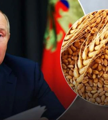 Страны умирают от голода: Братчук опроверг слова Путина по поводу зернового коридора