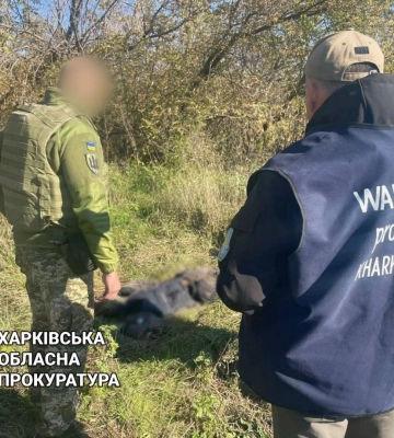 Розстріл автоколони під Куп’янськом: виявили жертву і двох врятованих 
