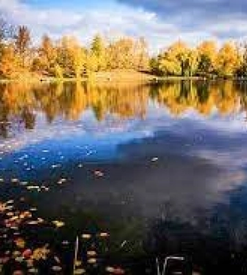 У водоймі на Закарпатті знайшли тіло людини