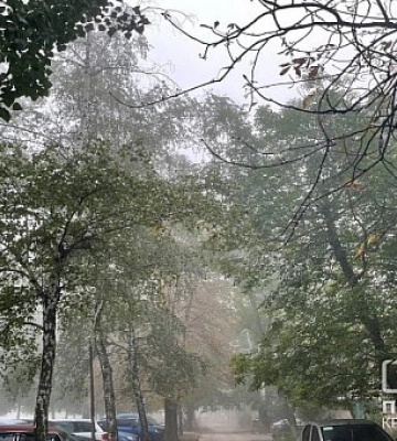 На Дніпропетровщині очікується посилення вітру