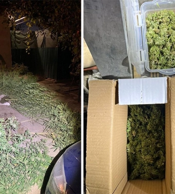 Заробляли на наркотиках 500 тисяч гривень щомісяця: на Одещині поліцейські припинили діяльність наркоугруповання, - ФОТО