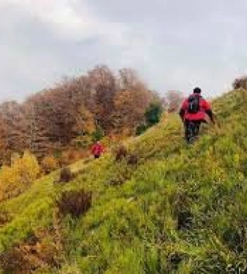 На Закарпатті зупинили пошуки зниклого в лісі, 8 жовтня киянина до з’ясування обставин зникнення