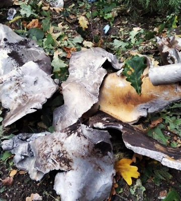 Всі постраждалі від російського обстрілу Харкова госпіталізовані