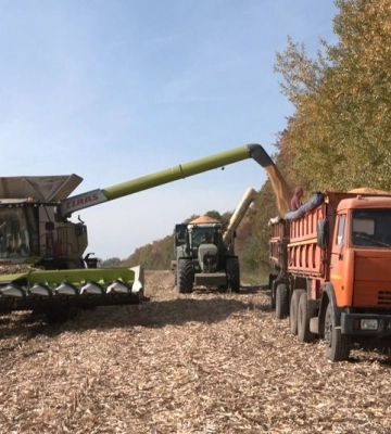 Дві третини площ ще не опрацьовано: як на Волині триває збір урожаю