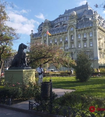 Скульптуру льва в Одесском городском саду спрятали от обстрелов (фотофакт)