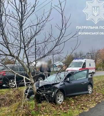 На Волині водій Renault злетів з дороги та зіткнувся з деревом. Фото