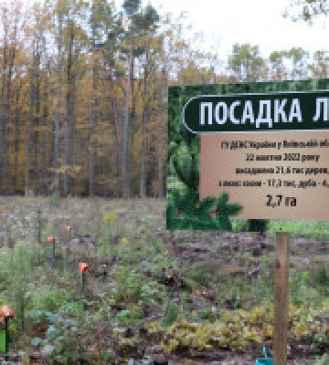 У Макарівському лісгоспі на Київщині висадили понад 21 тисячу молодих дерев (фото, відео)