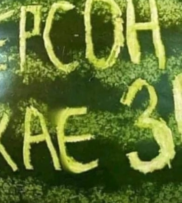 Сили рф втекли з двох сіл Херсонщини, у Новій Каховці 150 «трьохсотих» — Генштаб