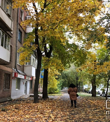 Вредит здоровью людей и окружающей среде: криворожан призывают не сжигать опавшие листья