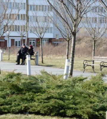 У Львові кожен може висадити іменне дерево, заплативши 2,2 - 4,5 тис грн