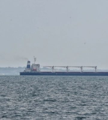 Експорт агропродукції з морських портів України за тиждень скоротився на 8% - УКАБ