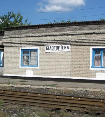 НГУ показала, как сейчас выглядит деоккупированная Белогоровка