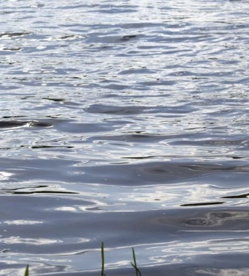 Затонув у технологічній водоймі Львівтеплоенерго