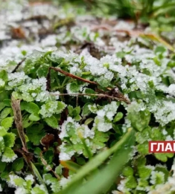 У деяких регіонах країни очікується мокрий сніг: погода на 18 березня