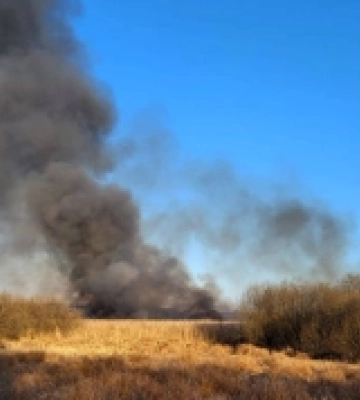 Волинські рятувальники за день ліквідували 18 пожеж в екосистемах