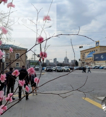 Новости Харькова — главное 27 марта: последствия ночной атаки БпЛА