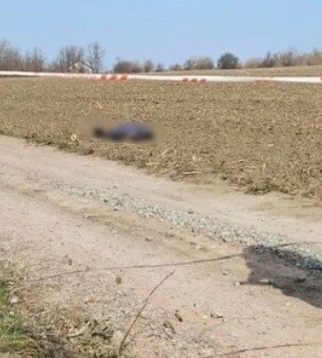 Ранкове вбивство на Дніпропетровщині: кого знайшли мертвим на трасі