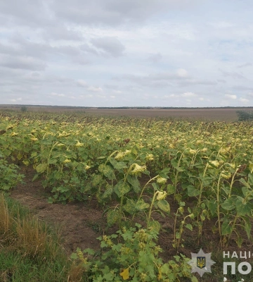 Самовільно захопив 18 гектарів сільськогосподарських земель - на Одещині судитимуть спритника
