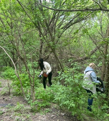 Сьогодні в Сумах розпочинається місячник благоустрою