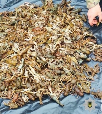 На Полтавщині поліцейські виявили у браконьєра близько пів сотні кілограмів раків