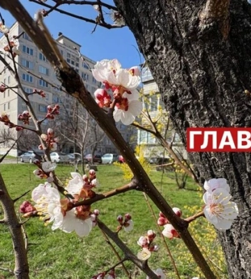 Березень у Києві цьогоріч став найтеплішим за 144 роки спостережень