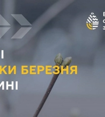 Майже найтепліший: погодні підсумки березня на Волині