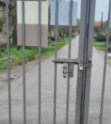 На кладовищі у Виноградові невідомі крадуть живі квіти з вазонів