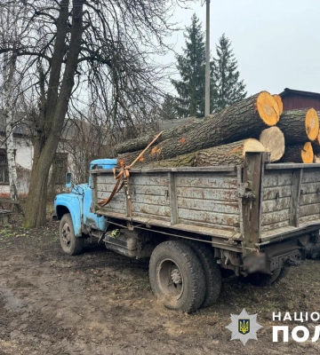 У Конотопі поліція викрила групу крадіїв деревини