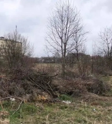 Покійників несуть через гори непотребу: селище на Волині потопає у смітті 