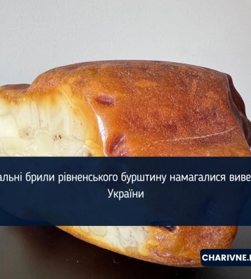 Унікальний бурштин хотіли вивезти з Рівного до Великобританії та США (ФОТО)
