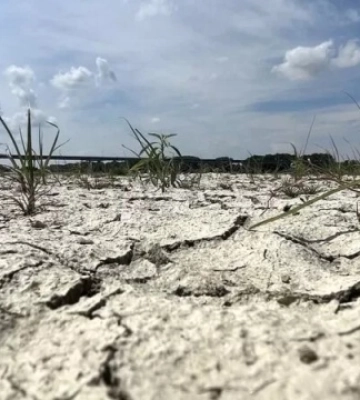 Весняне маловоддя в Україні: які загрози несе зниження рівня річок