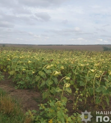На Одещині підприємець самовільно зайняв велику ділянку землі