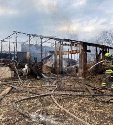 На Дніпропетровщині у пожежі загинули 58 свиней