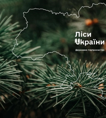 Наблюдательный совет ГП &quot;Леса Украины&quot; возглавил экс-глава Харьковской ОГА Кучер